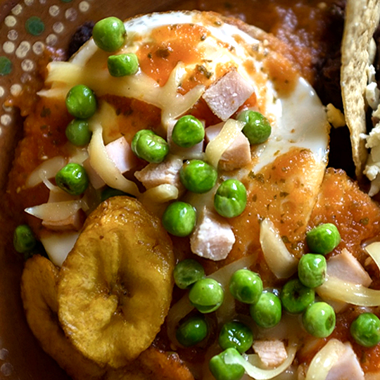 Restaurantes donde comer rico en Valladolid
