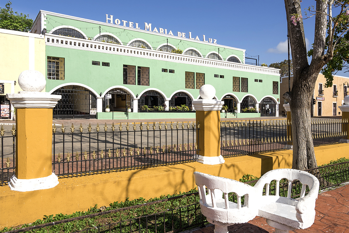 wtf